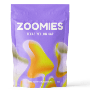 Texas Yellow Cap | Get Magic Mushrooms Canada