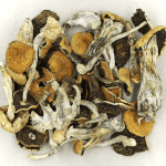 Full Moon Party | Get Magic Mushrooms Canada