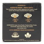 Room 920 – Mushroom Chocolate Bar - Milk Chocolate - 3 Grams | Get Magic Mushrooms Canada