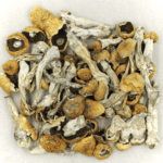 Orissa | Get Magic Mushrooms Canada