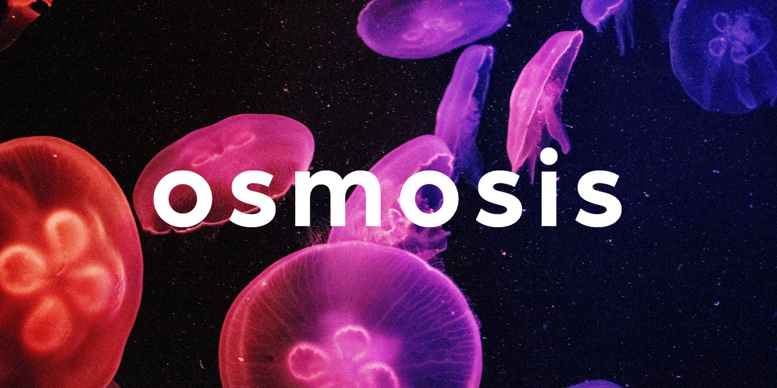 Zoomies osmosis banner | Get Magic Mushrooms Canada
