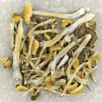 Trinity | Get Magic Mushrooms Canada