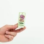Wonder – Psilocybin Chocolate Bar – Dark Chocolate | Get Magic Mushrooms Canada