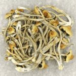 Hautla | Get Magic Mushrooms Canada