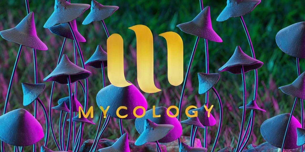 Zoomies Summer 2023 Banner - Mycology | Get Magic Mushrooms Canada
