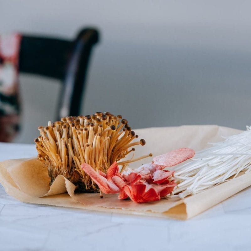 Buy Shrooms Online Canada (1) | Get Magic Mushrooms Canada