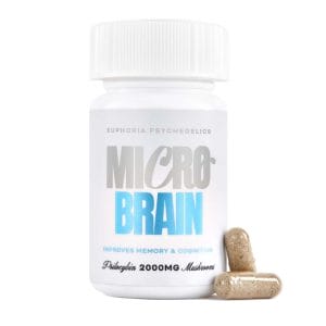 Euphoria Psychedelics – Micro Brain Capsules - (100mg X 20 Capsules) | Get Magic Mushrooms Canada