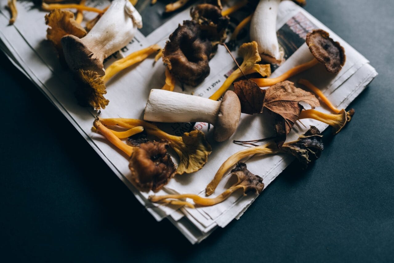Can Mushrooms and Chocolate be Paired Together?